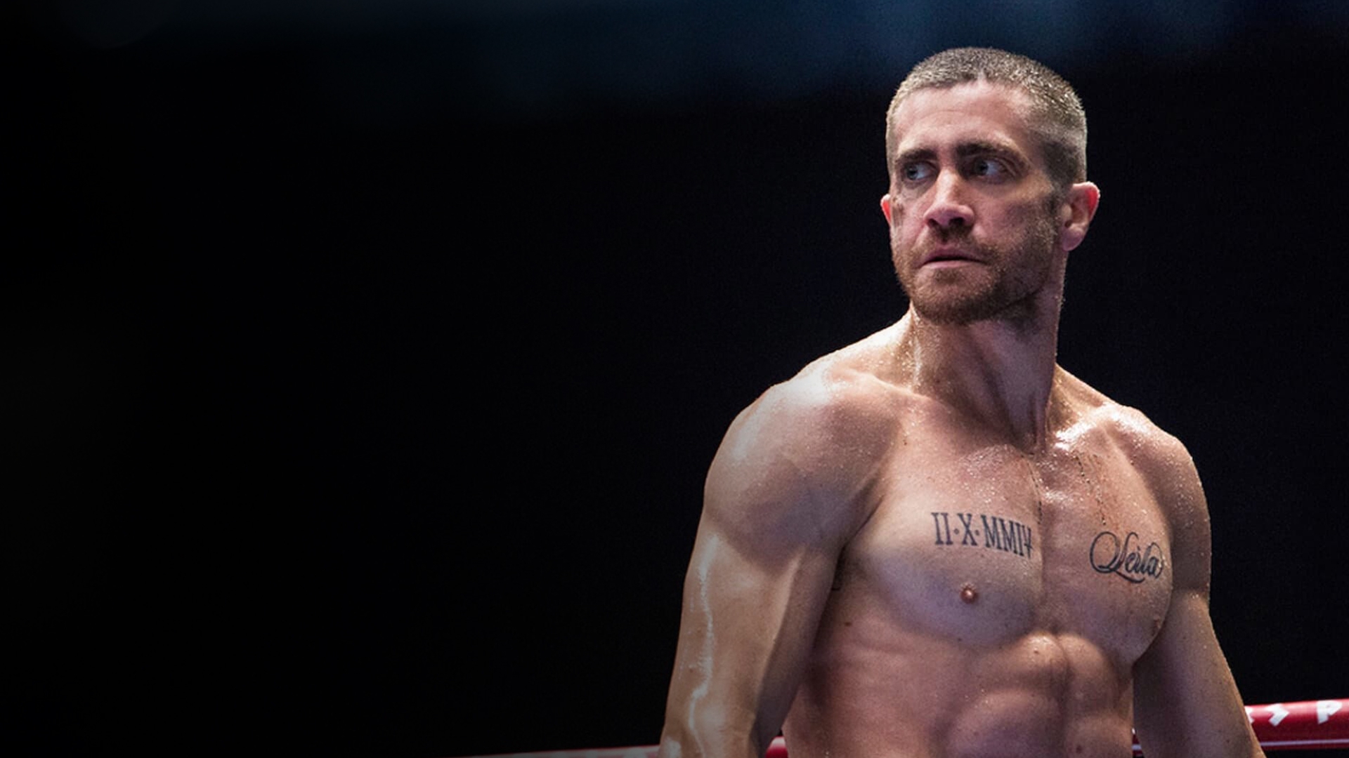 Reserve for Southpaw on sale