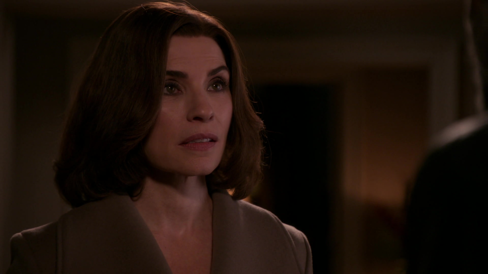 Watch The Good Wife Season 7 Online | Stream TV Shows | Stan