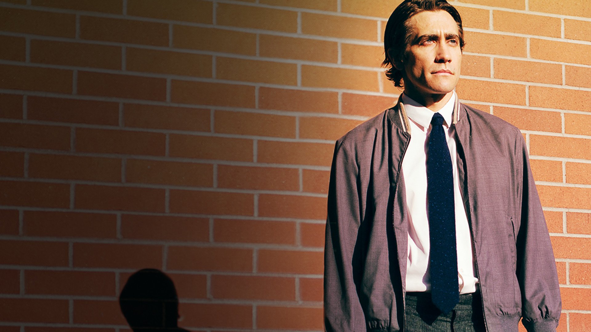 Stream Nightcrawler Online Download and Watch HD Movies Stan