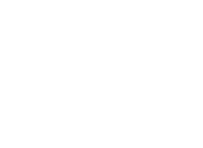 The Cup