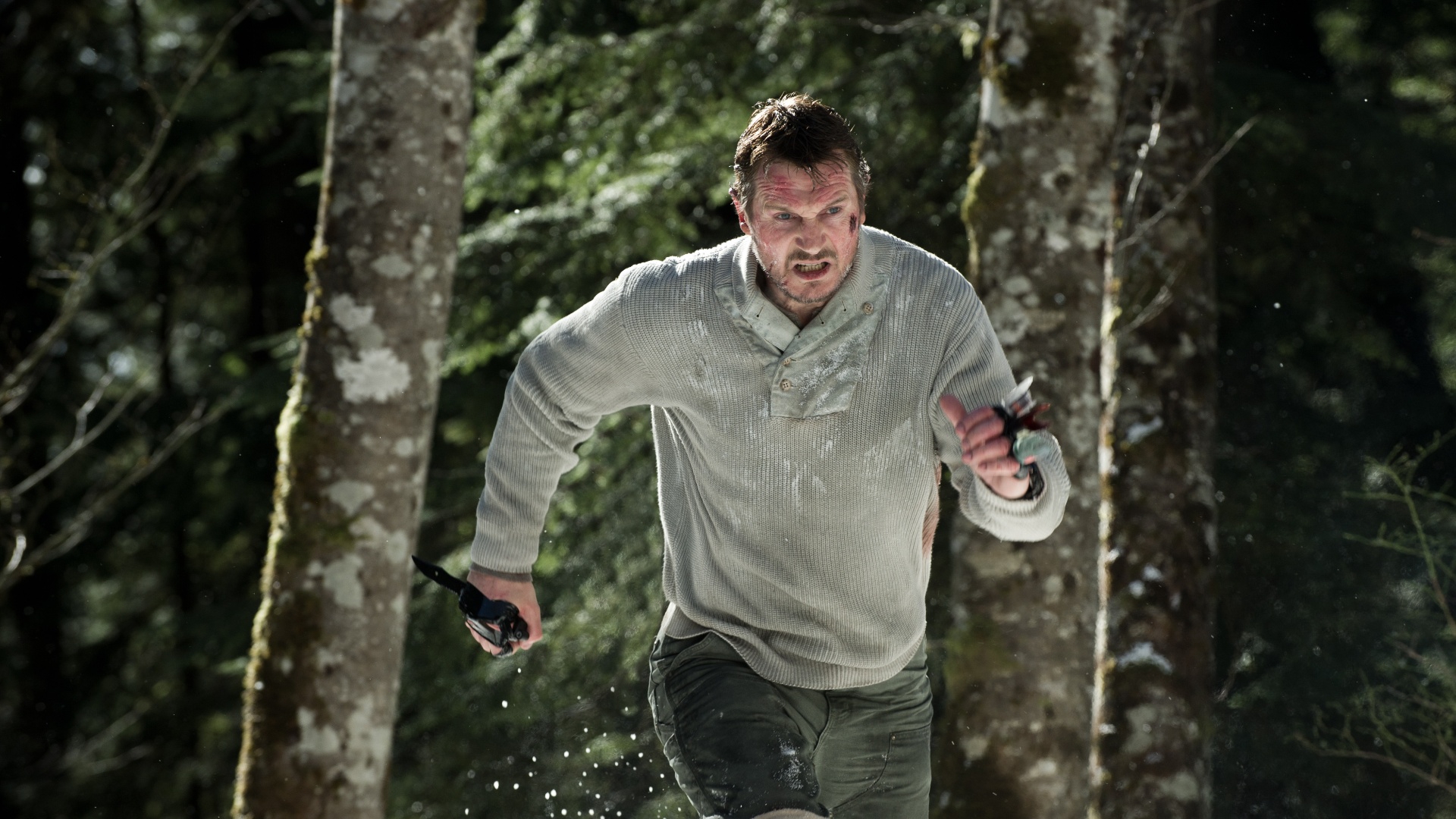 Stream The Grey Online Download and Watch HD Movies Stan