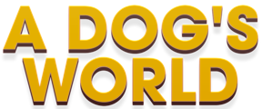 A Dog's World