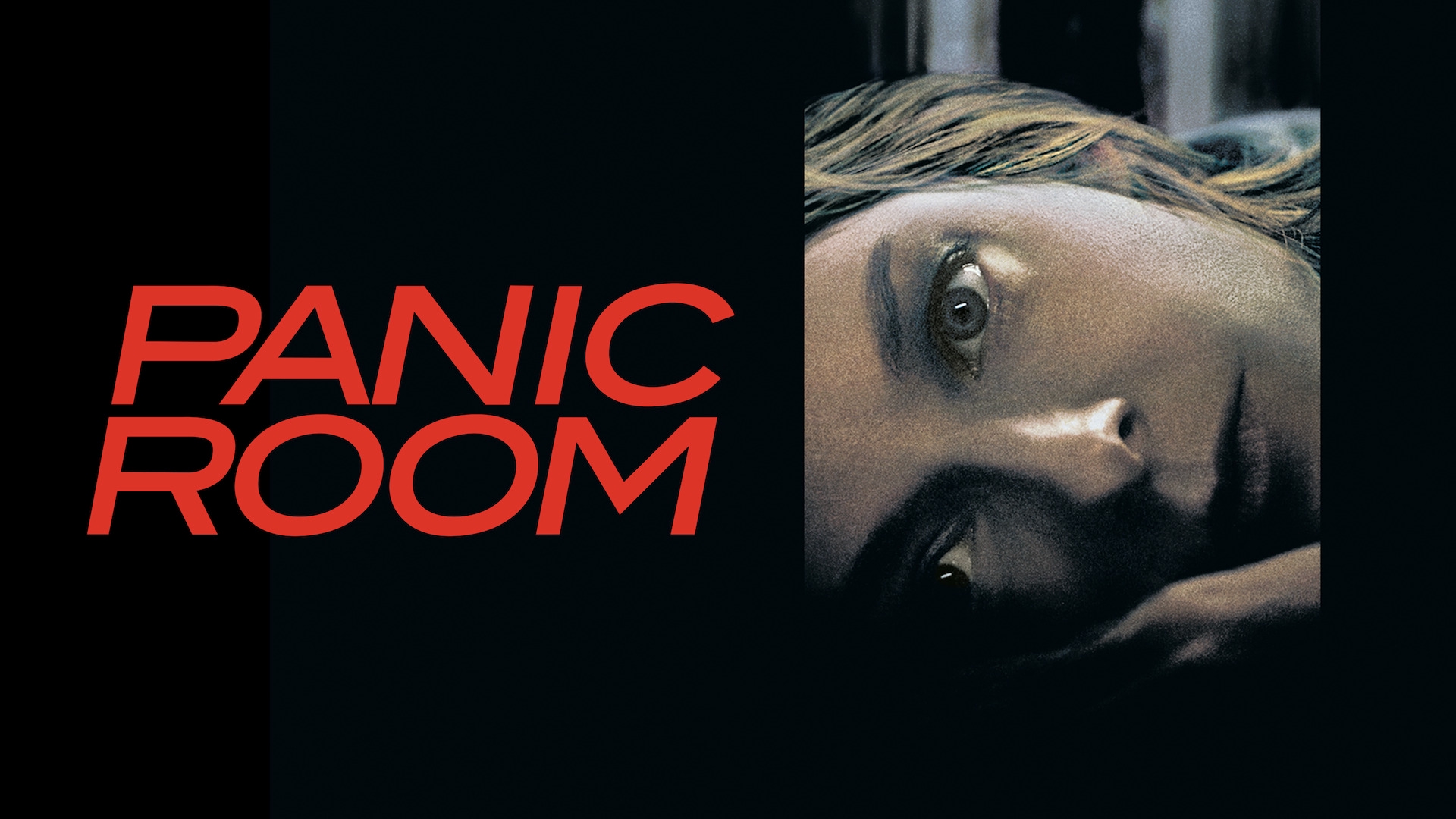 Watch panic room full movie free sale