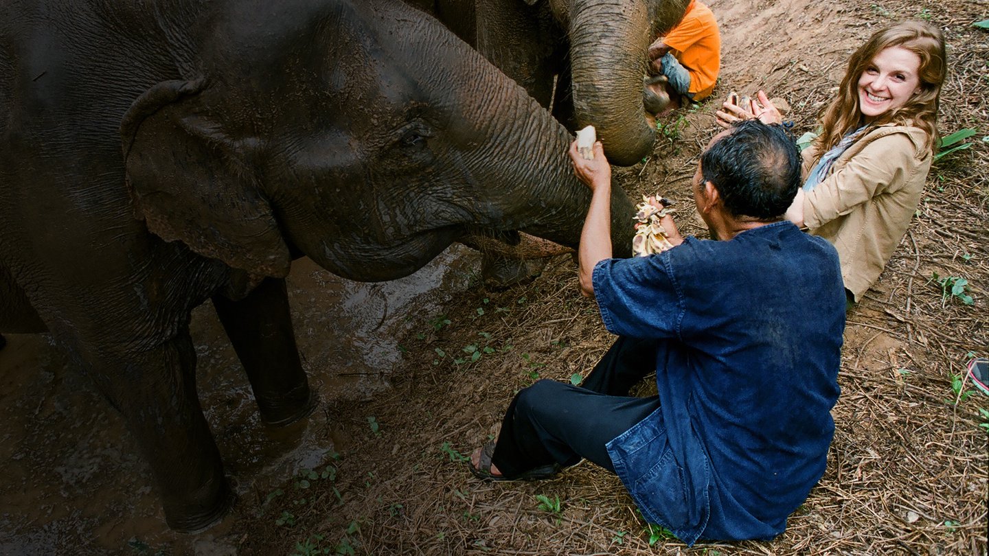 Love & Bananas: An Elephant Story