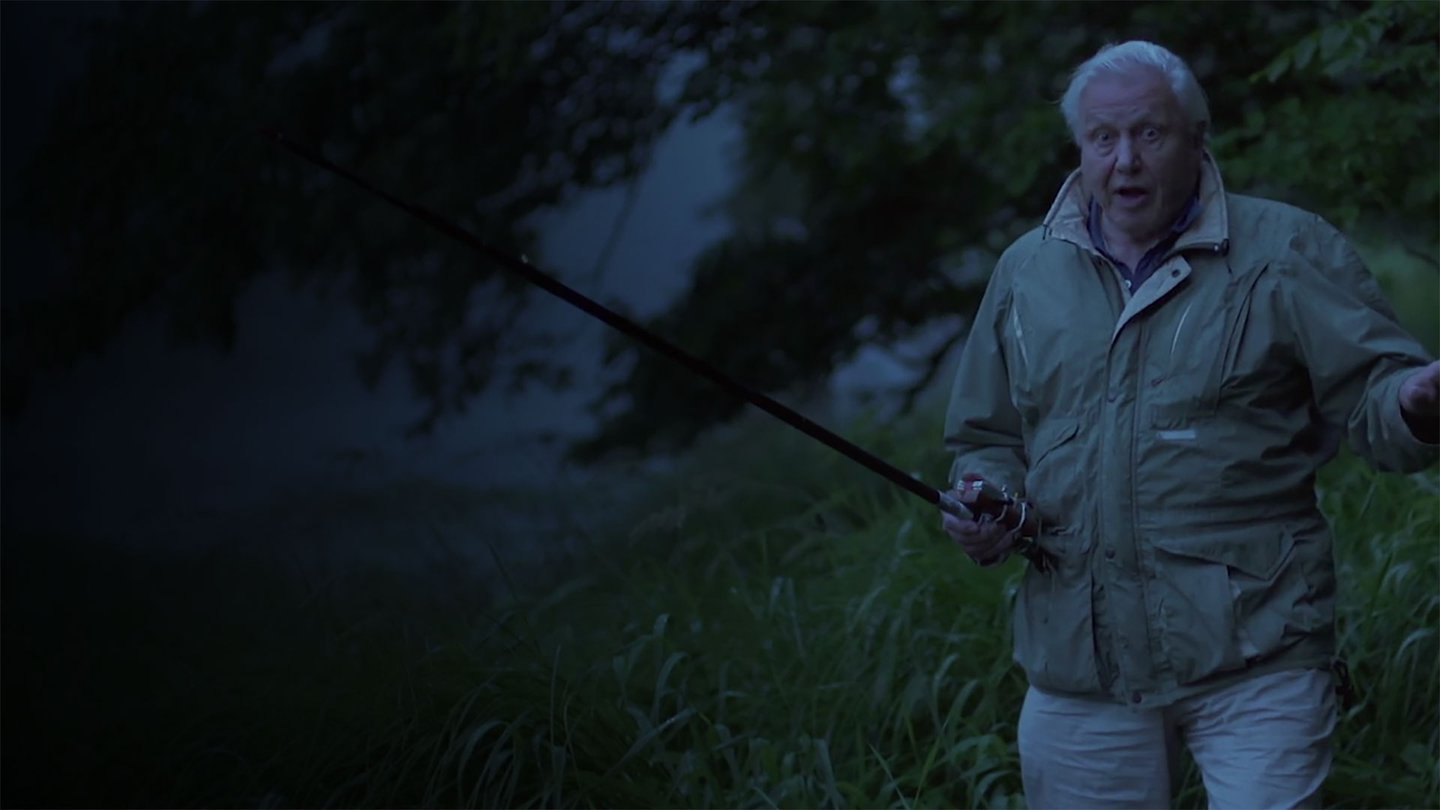 Attenborough's Life that Glows