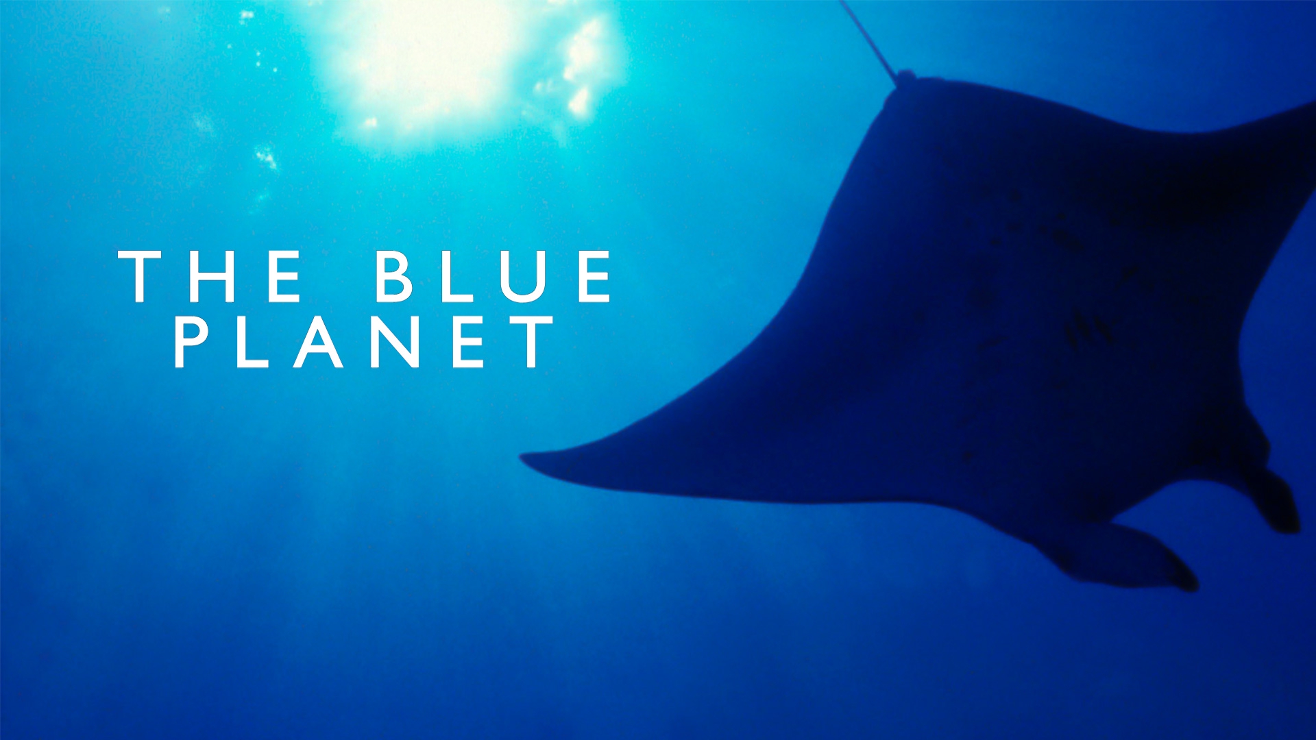 Watch Blue Planet Online | Stream Season 1 Now | Stan