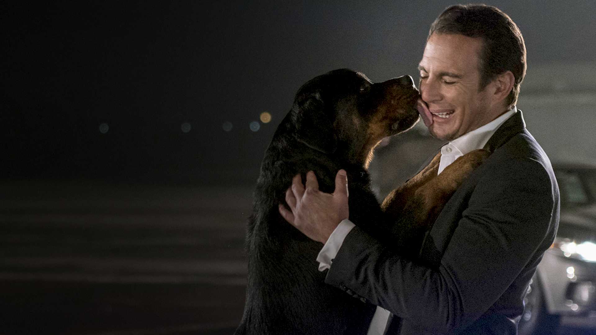 Stream Show Dogs Online Download and Watch HD Movies Stan