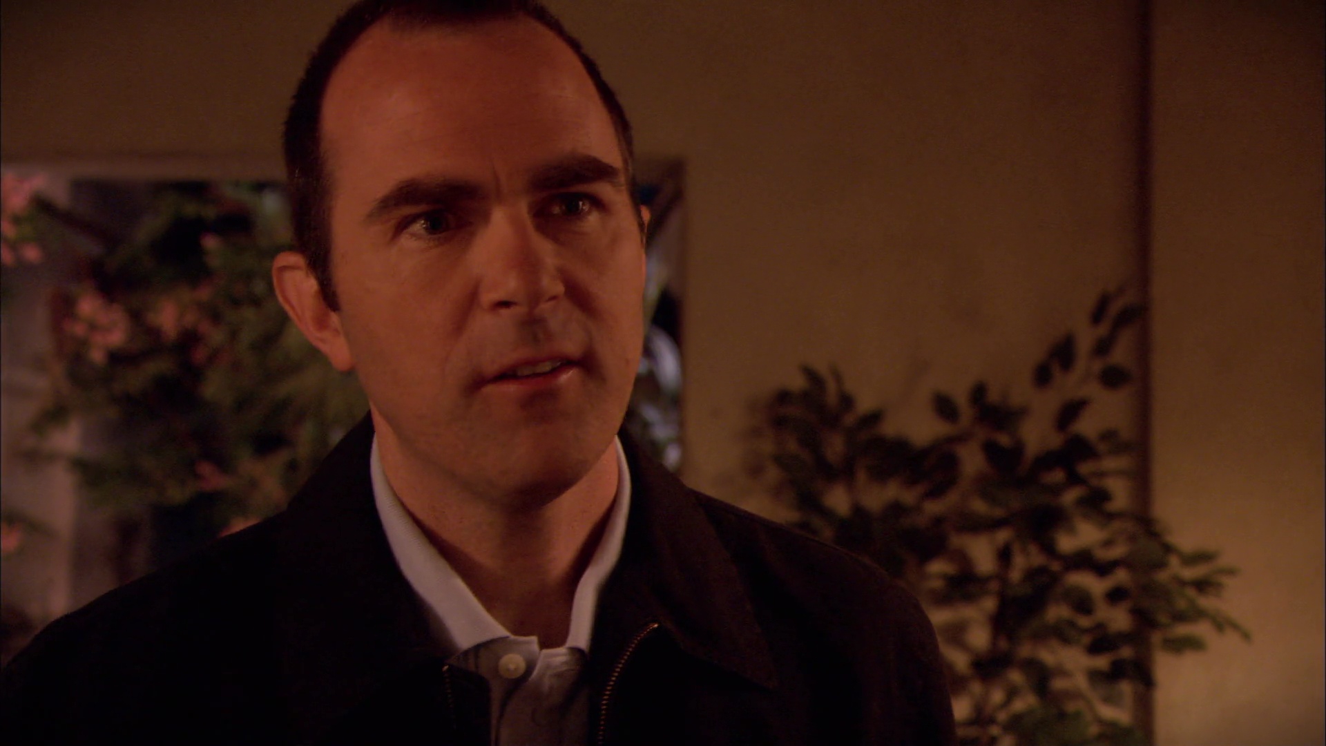 Watch Weeds Season 3 Online Stream TV Shows Stan