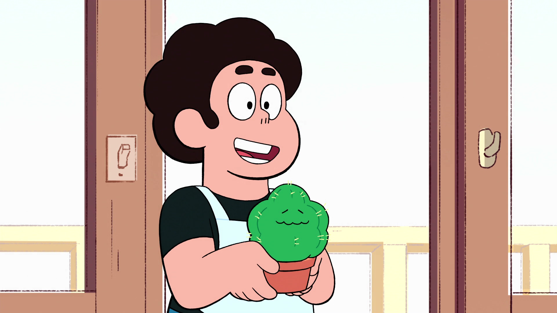 Watch Steven Universe: Future Online | Stream Season 1 Now | Stan