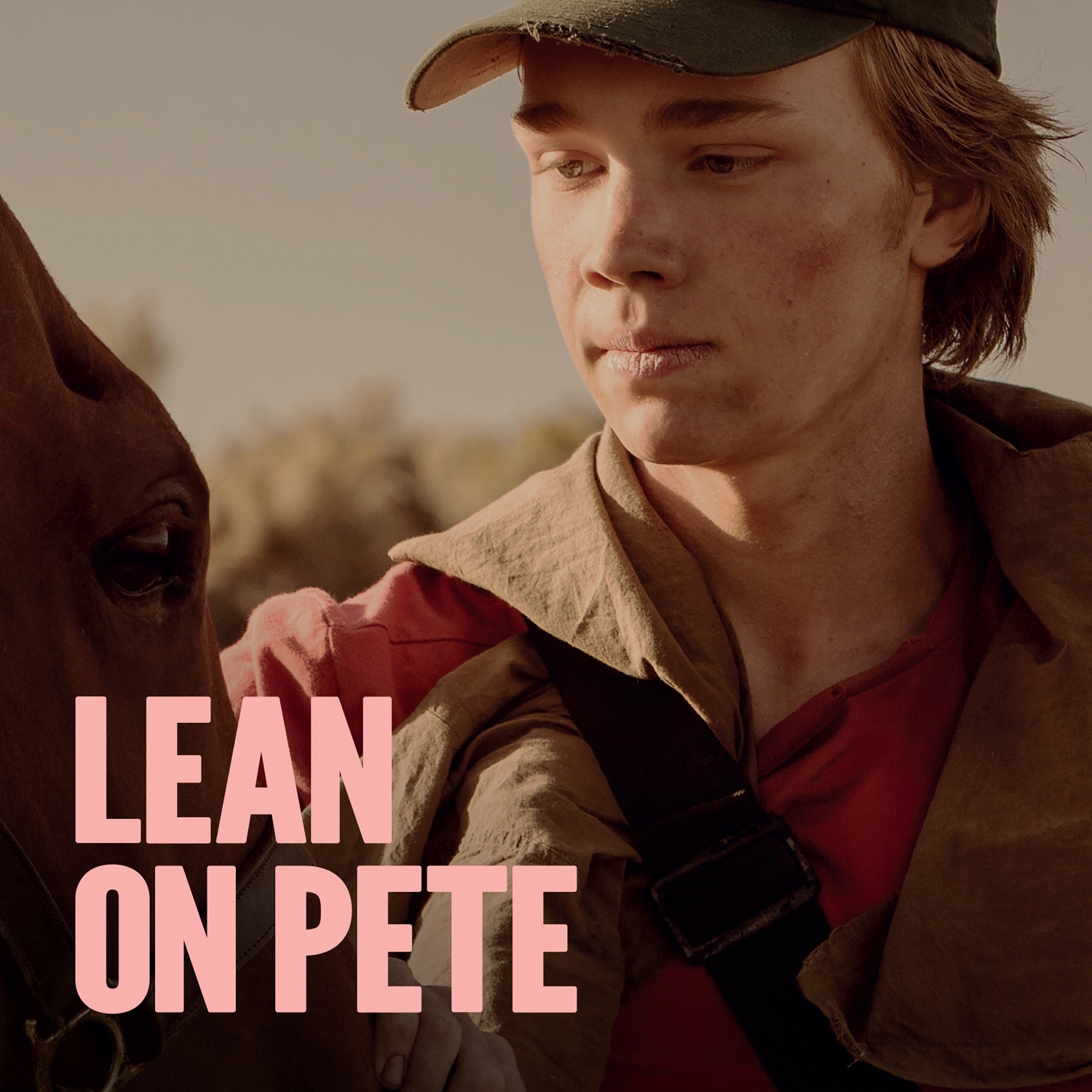 Stream Lean On Pete Online Download and Watch HD Movies Stan