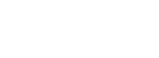 Natural World: Attenborough's Big Birds