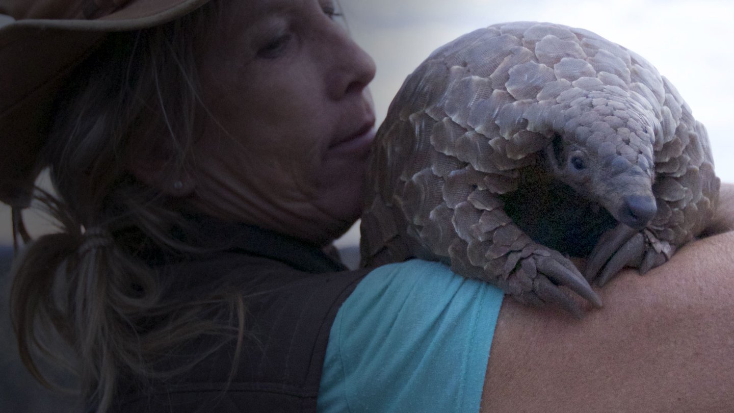 Natural World: Pangolins - The World's Most Wanted Animal