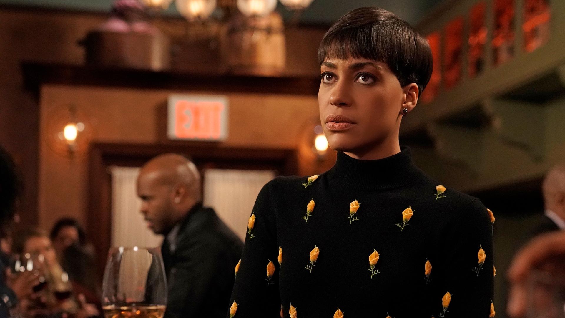 Watch The Good Fight Season 3 Online | Stream TV Shows | Stan
