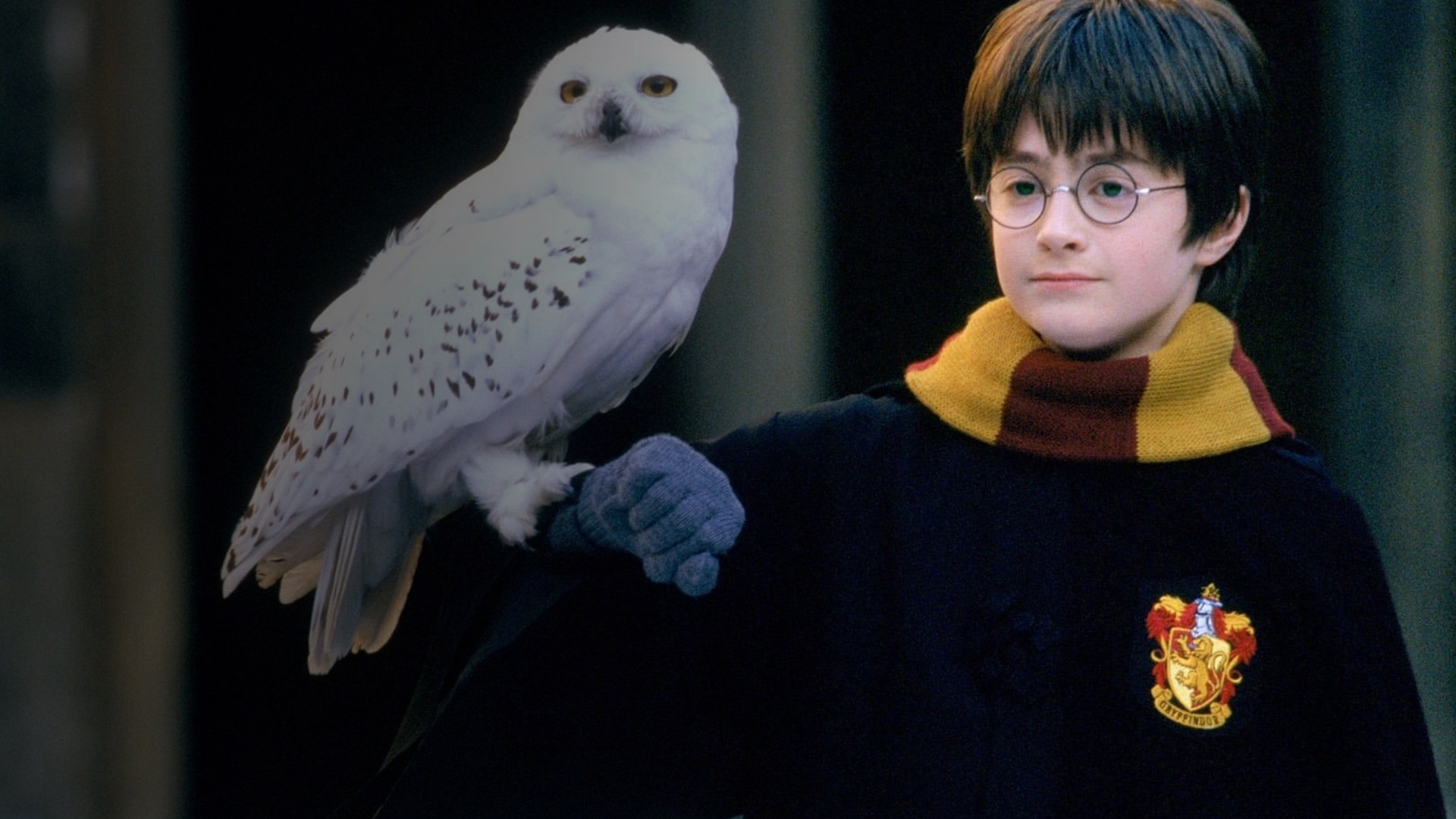 Watch harry potter and the philosopher's stone putlocker hot sale