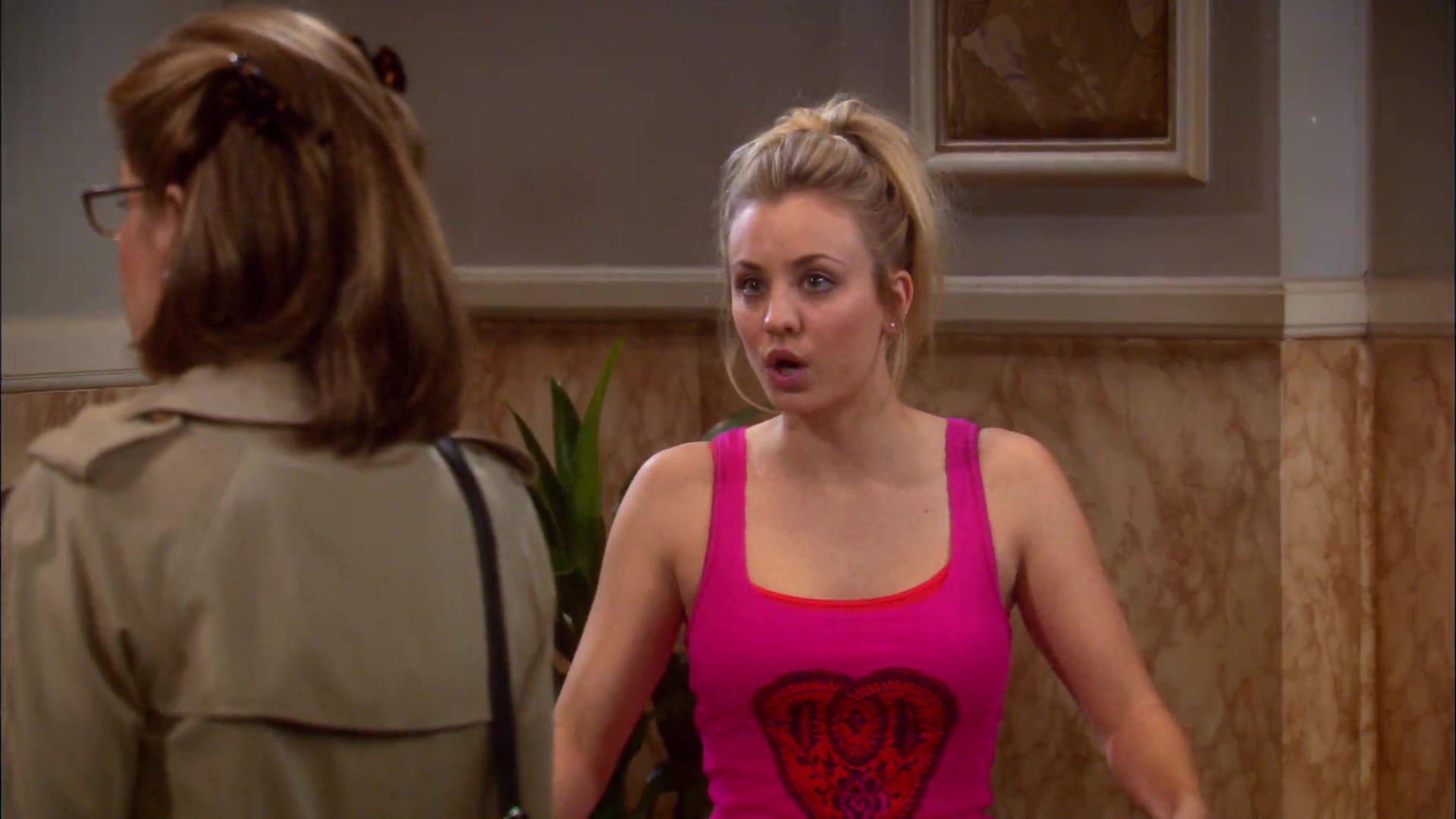 Watch The Big Bang Theory Season 2 Online | Stream TV Shows | Stan