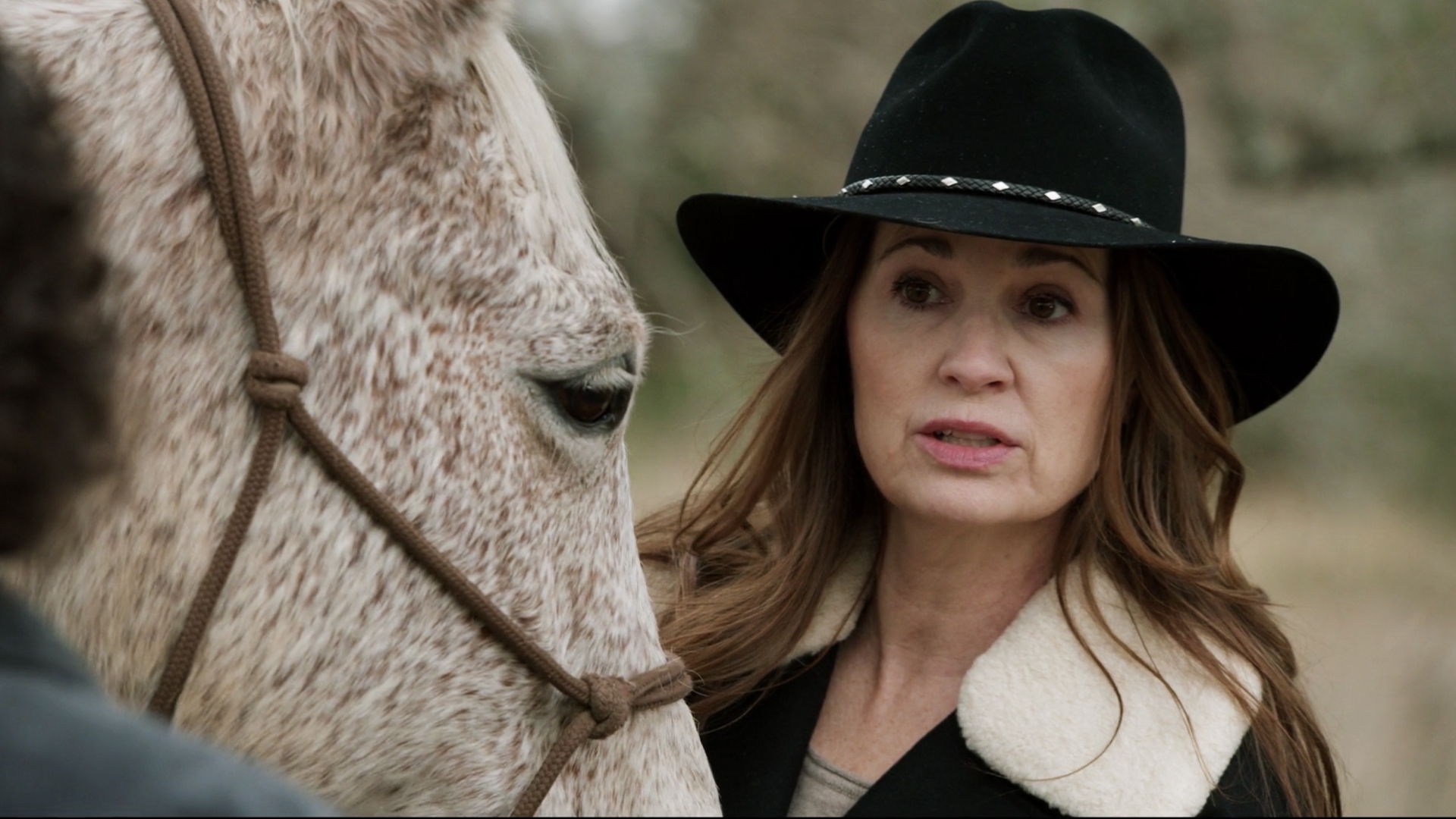 Watch Walker Season 2 Online Stream TV Shows Stan