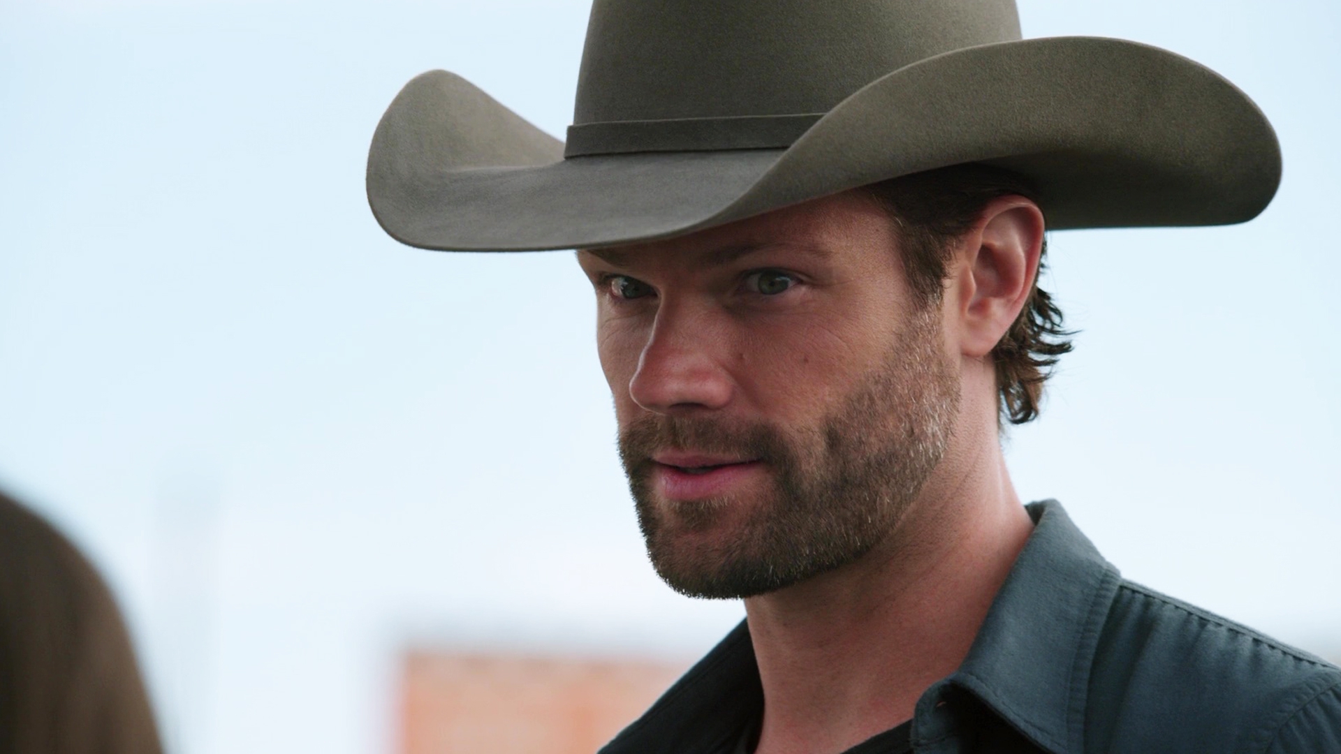 Watch Walker Season 2 Online Stream TV Shows Stan