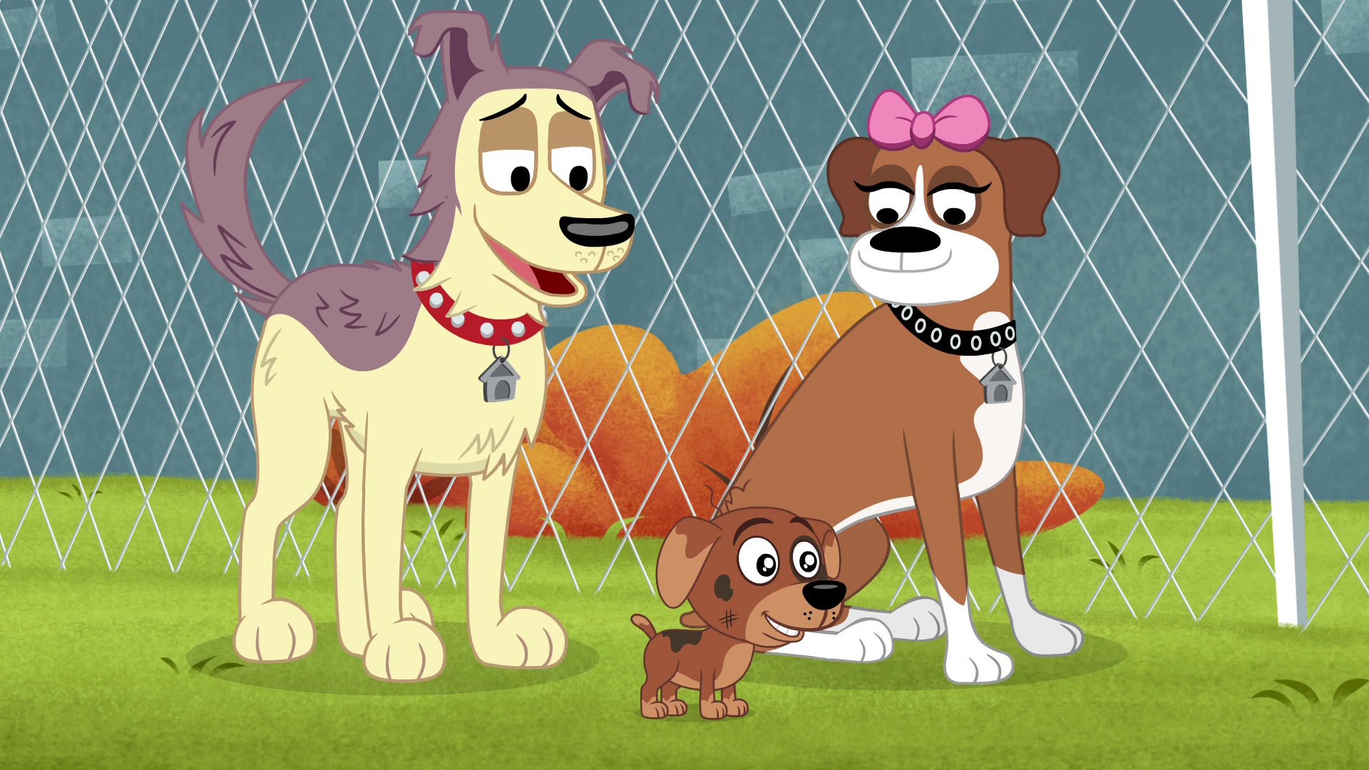 Watch Pound Puppies Online Stream Seasons 13 Now Stan