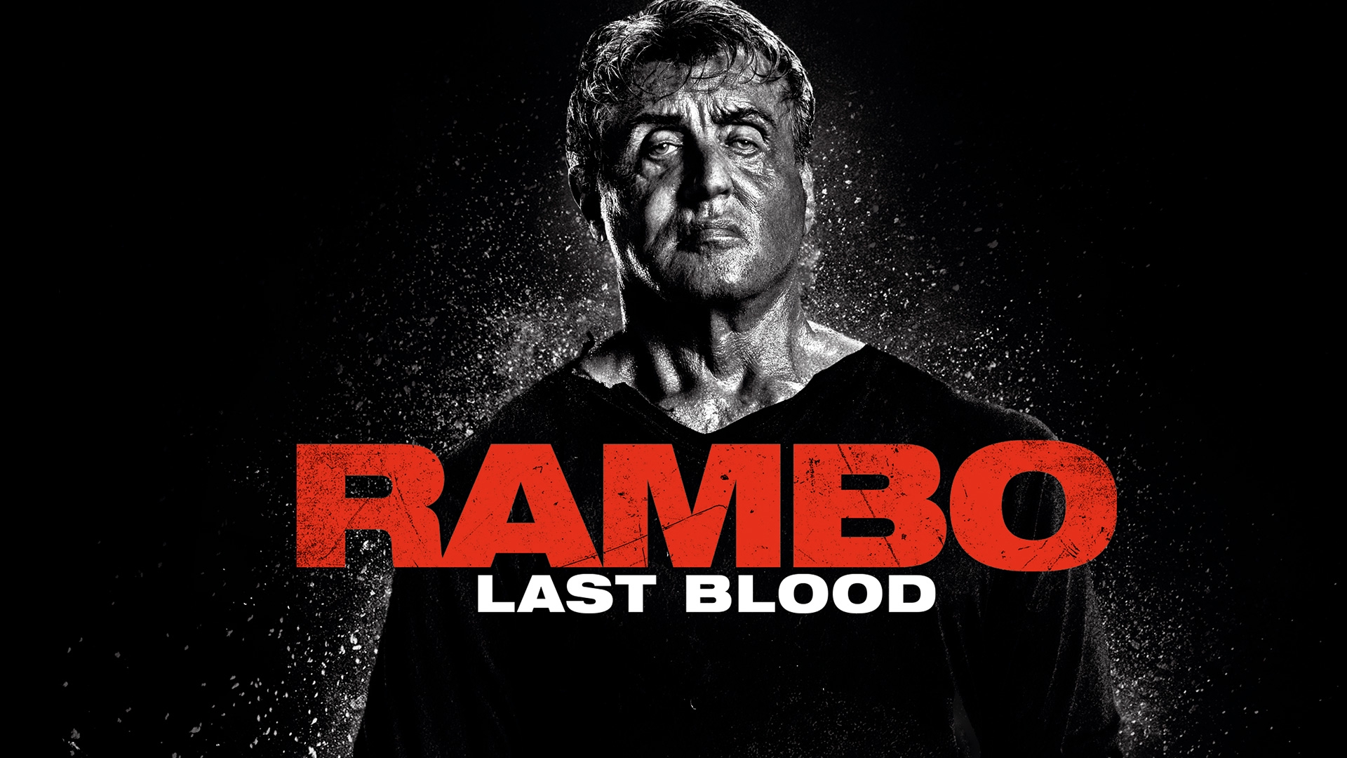 Stream Rambo: Last Blood! Online | Download and Watch HD Movies | Stan