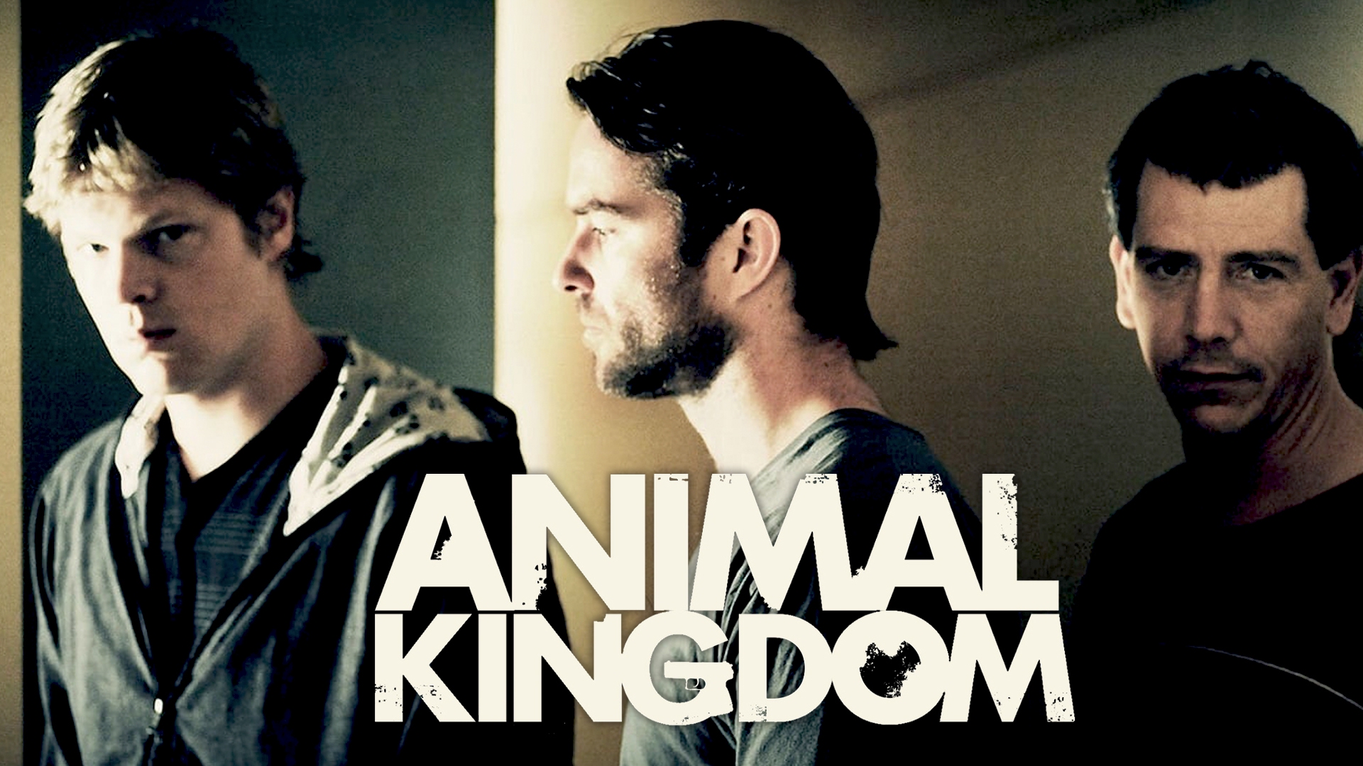 Watch Animal Kingdom Movie Online | Stan.