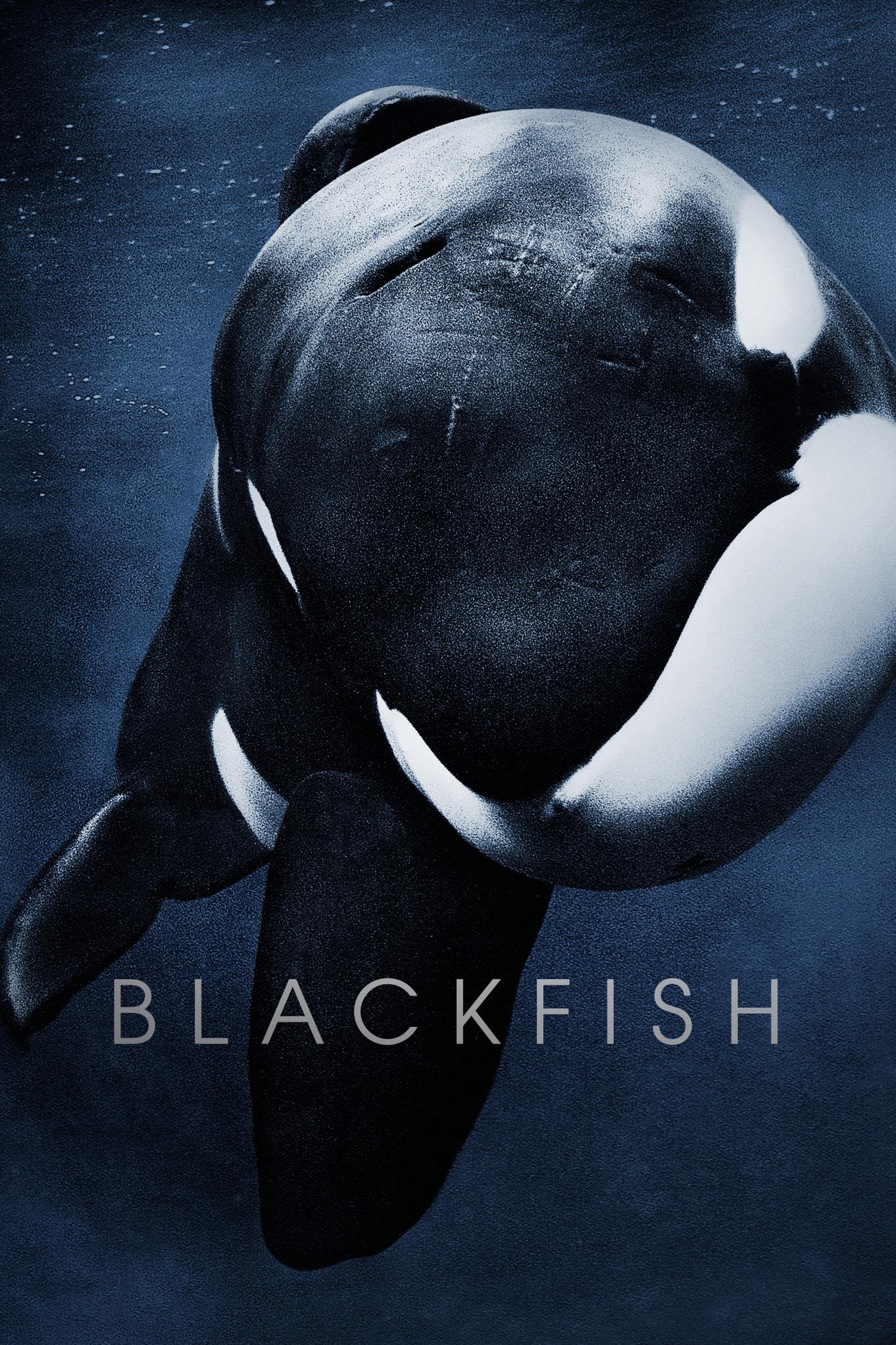Watch Blackfish on BBC iPlayer!... - Free Morgan Foundation | Facebook