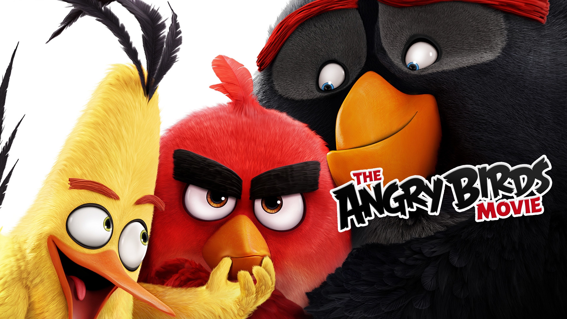 Stream The Angry Birds Movie Online | Download and Watch HD Movies | Stan