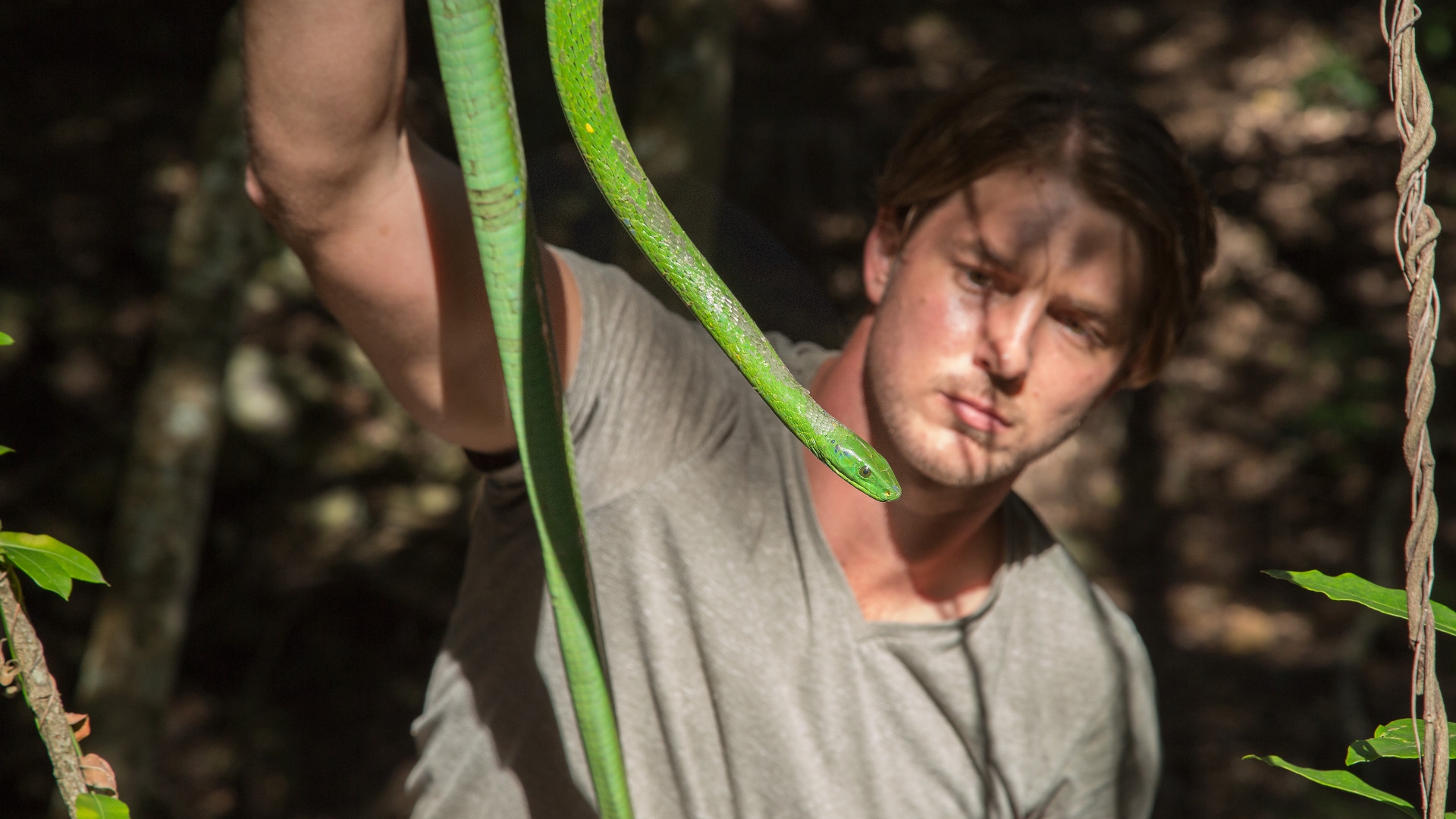 watch-deadliest-snakes-of-south-africa-online-stream-season-1-now-stan