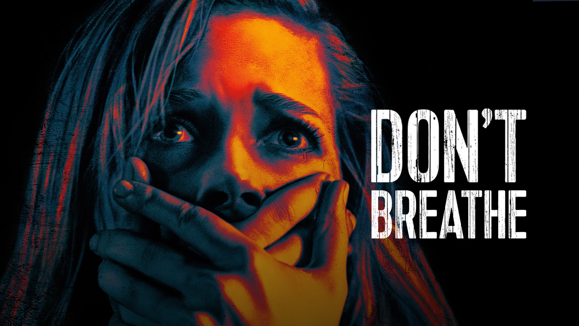 Stream Don't Breathe Online | Download and Watch HD Movies | Stan