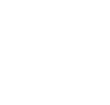 Where Are You Going, Aida?