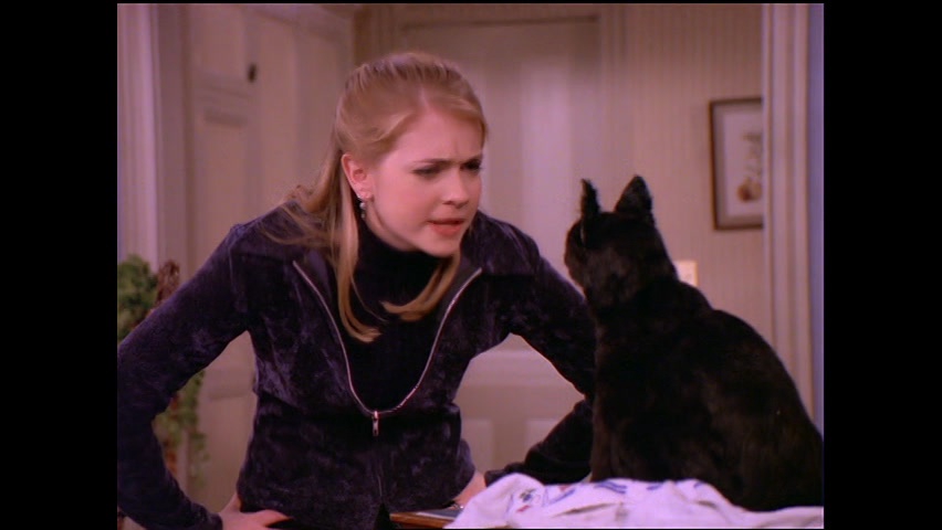 Watch Sabrina The Teenage Witch Online | Stream Seasons 1-7 Now | Stan