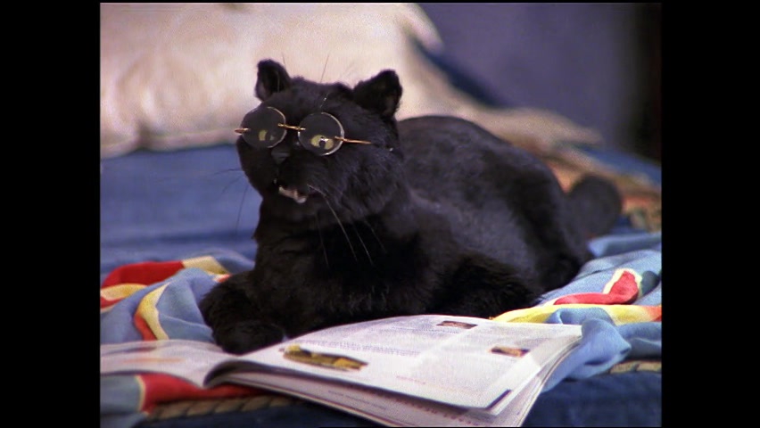 Watch Sabrina The Teenage Witch Season 4 Online 