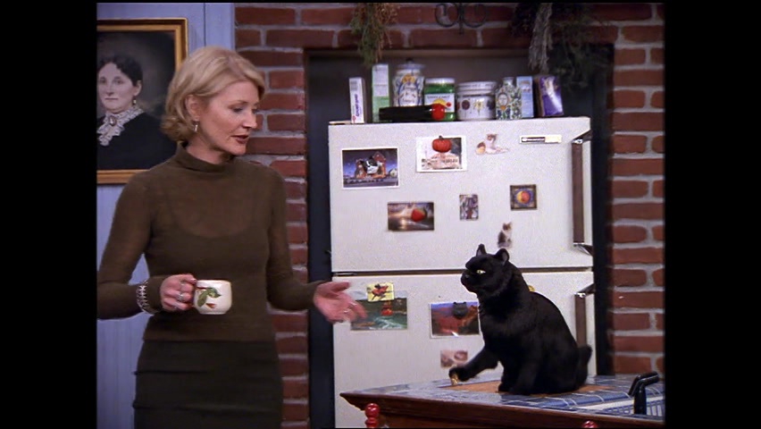 Watch Sabrina The Teenage Witch Season 4 Online | Stream TV Shows | Stan