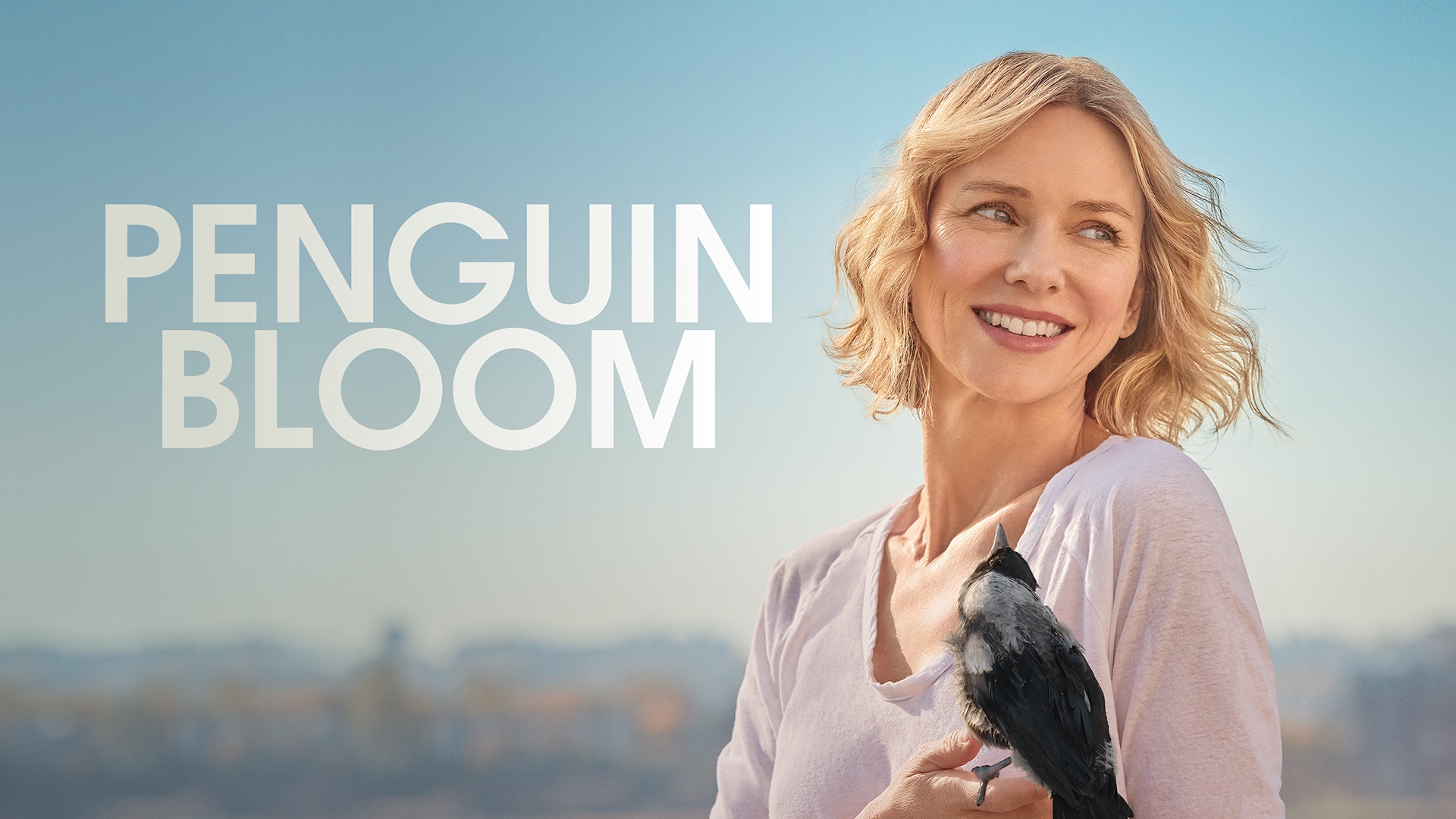 Stream Penguin Bloom Online Download and Watch HD Movies Stan
