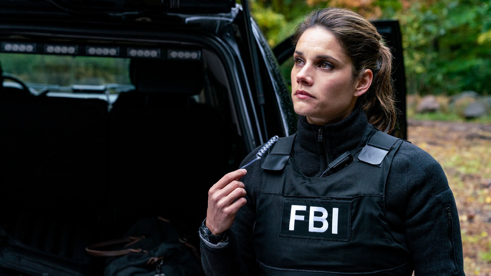 Watch FBI Online Stream Seasons 1 5 Now Stan