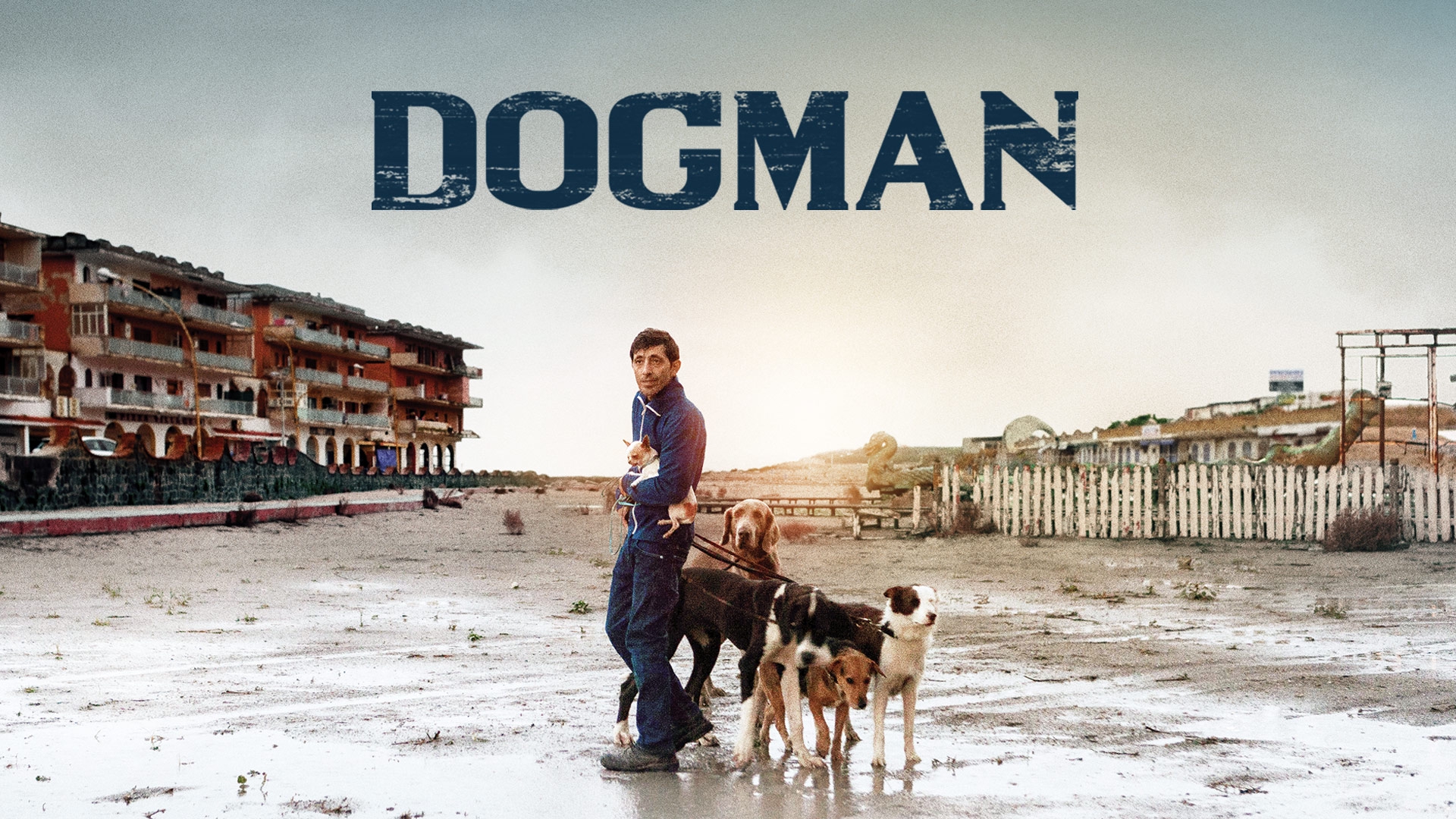 Stream Dogman Online Download and Watch HD Movies Stan