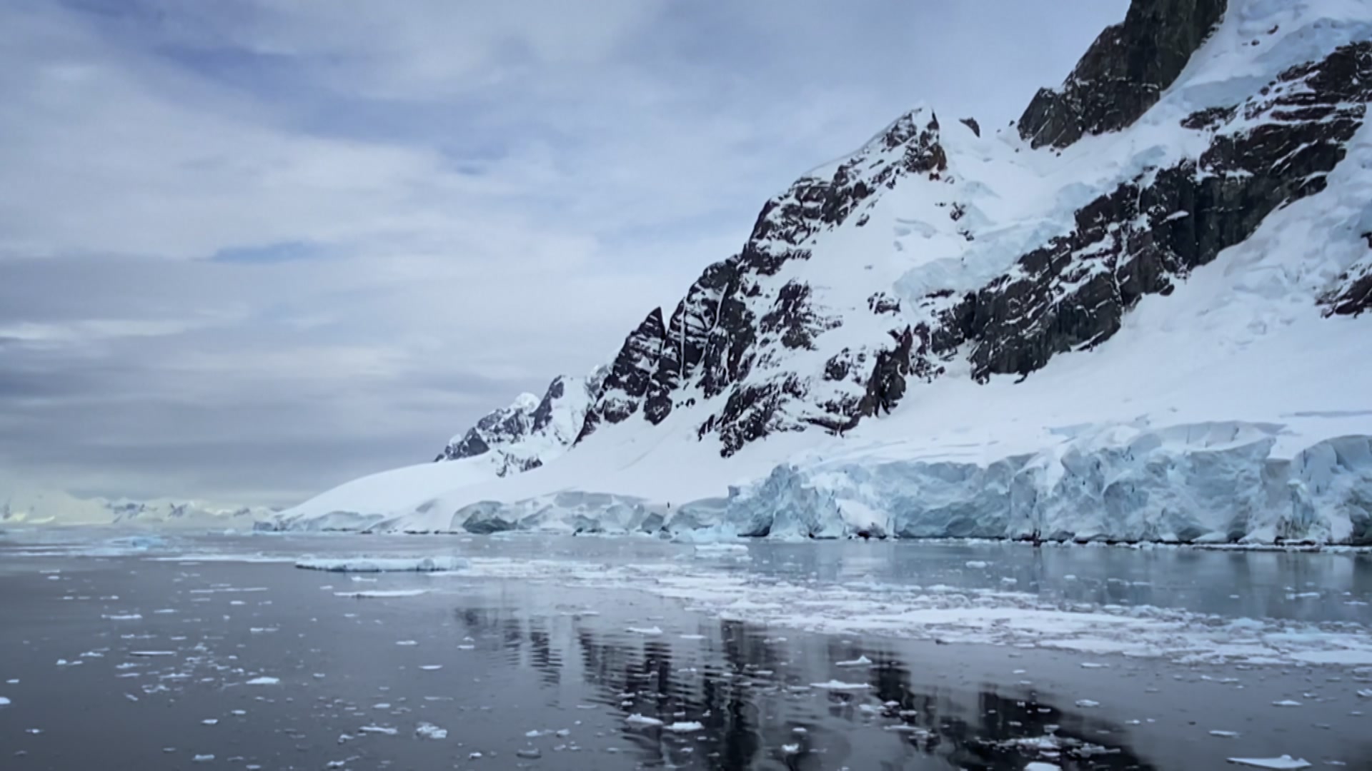 Watch The Poles Revealed Online | Stream Season 1 Now | Stan