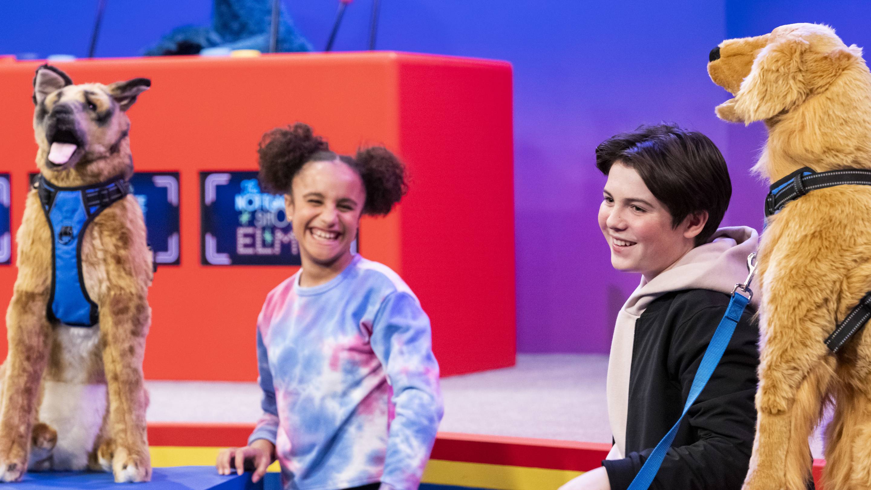 Watch The Not-Too-Late Show with Elmo Online | Stream Season 2 Now | Stan
