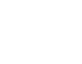 Lord Of The Ants