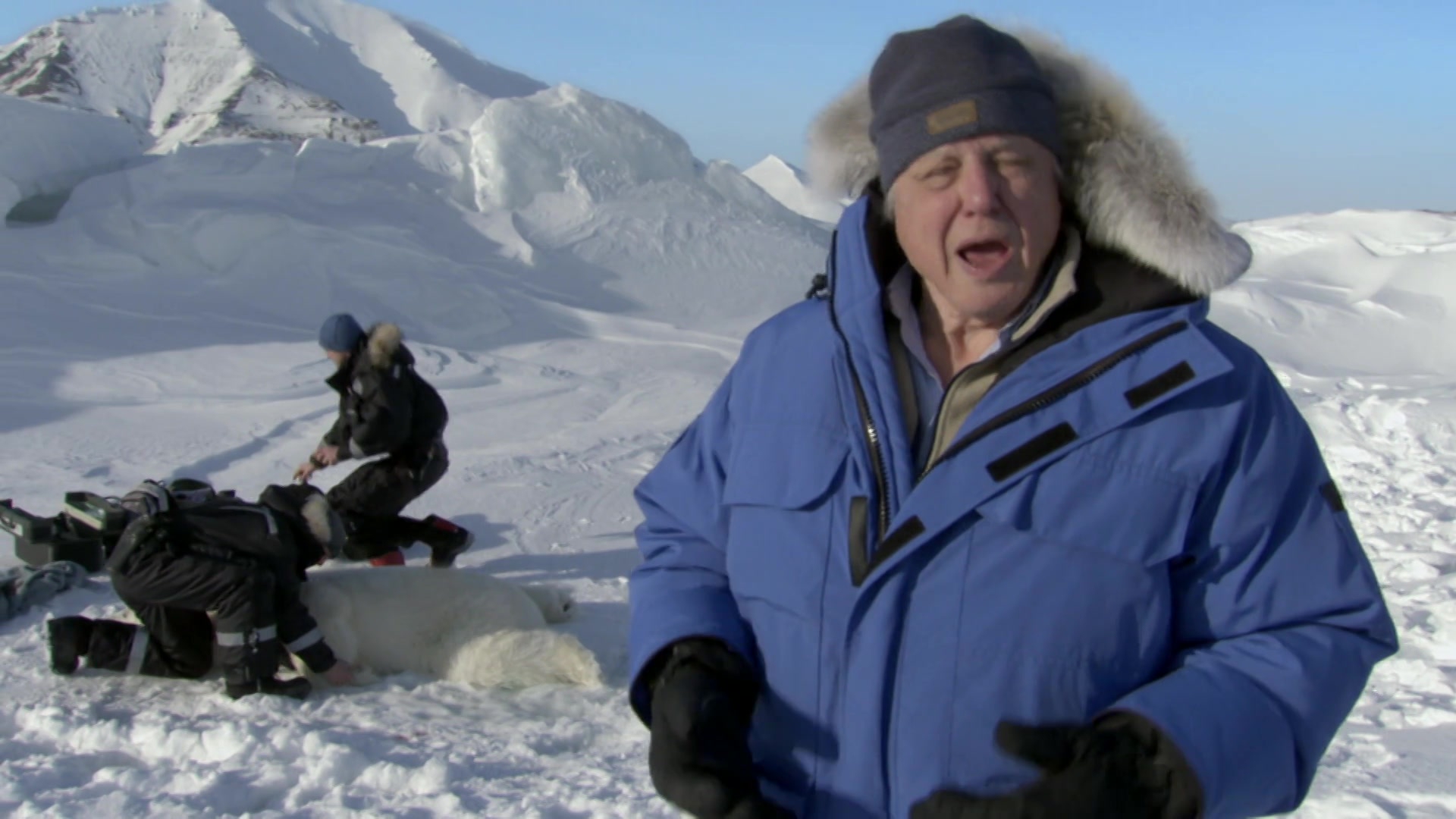 Watch Frozen Planet Online | Stream Season 1 Now | Stan