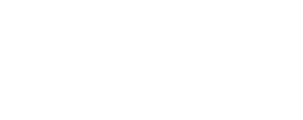 The Armadillo’s Prophecy