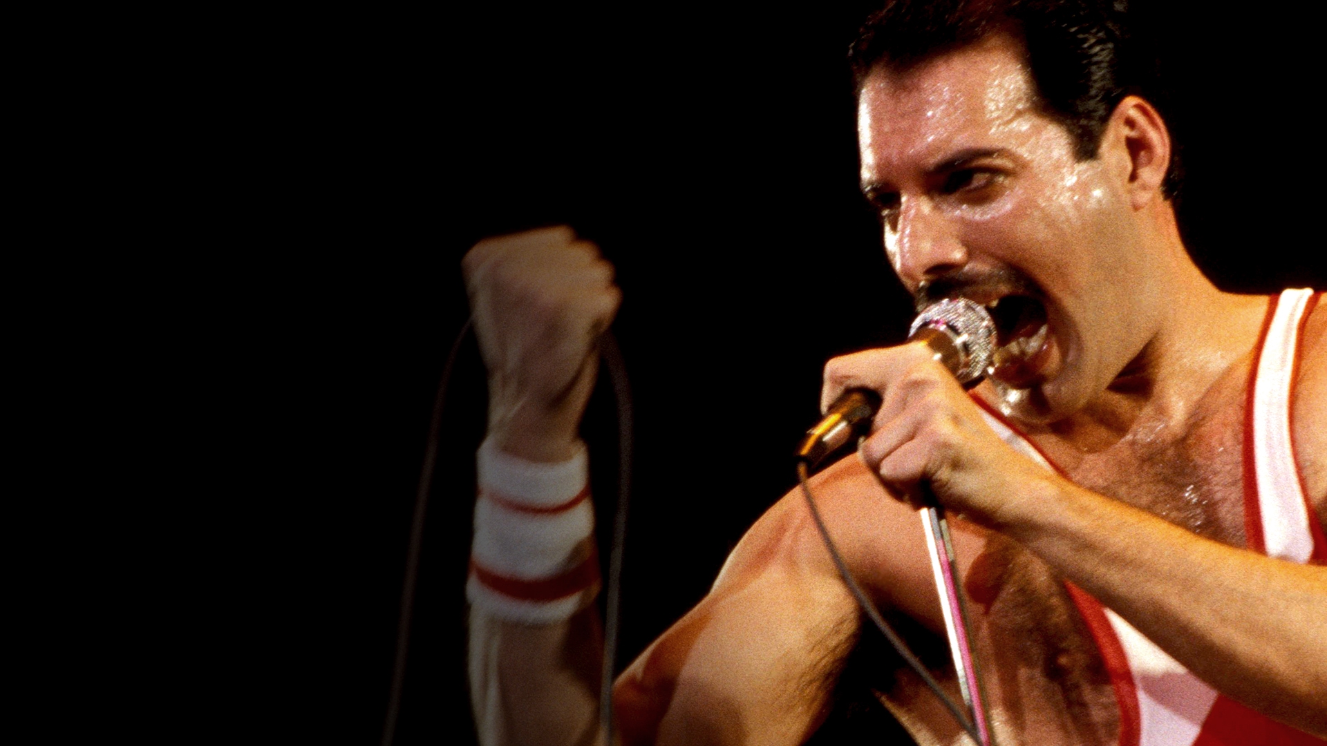 Freddie mercury outlet movie streaming