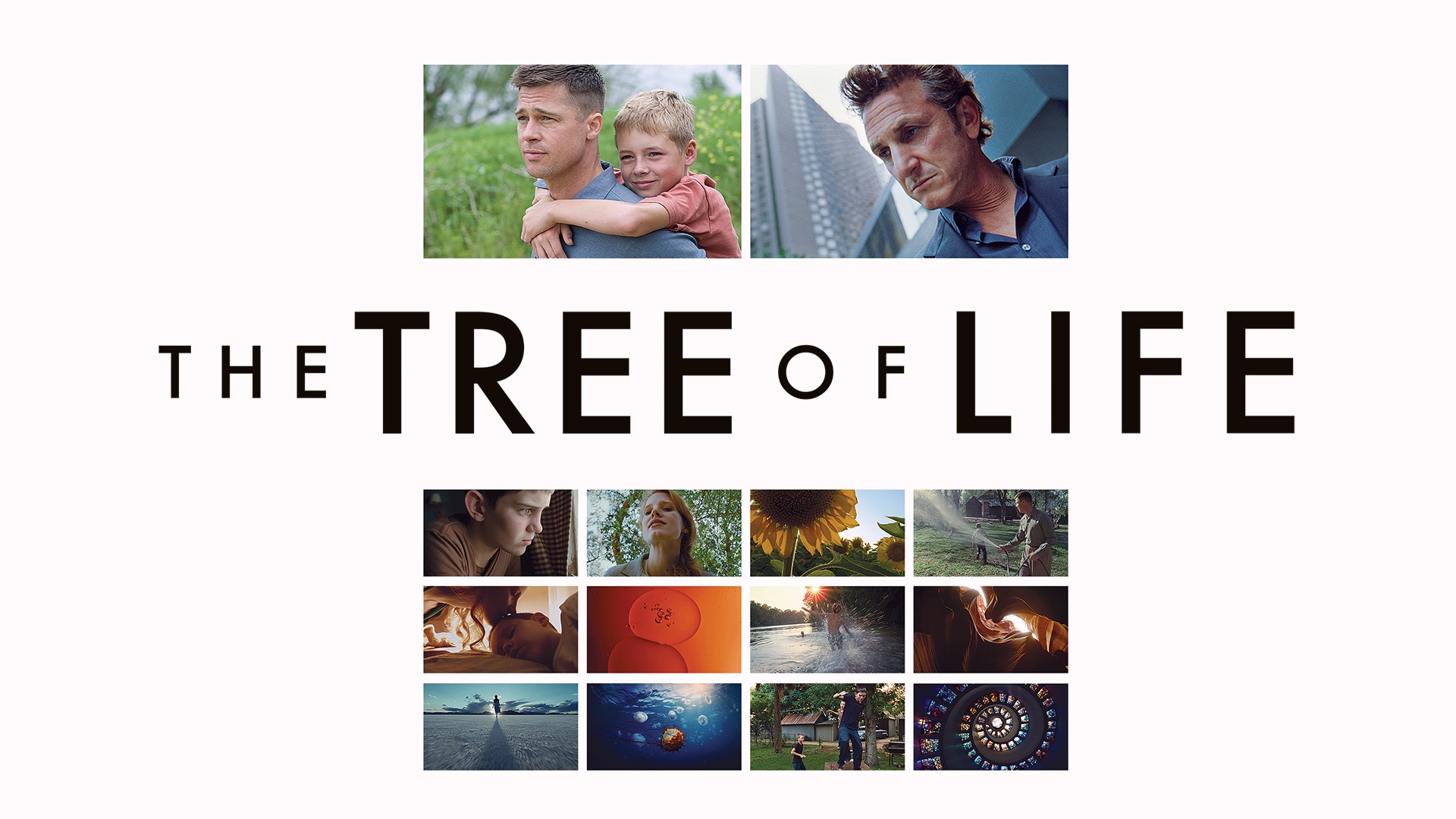 Stream The Tree Of Life Online | Download and Watch HD Movies | Stan