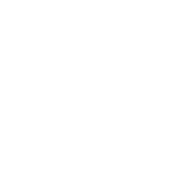 The Last Night of Amore