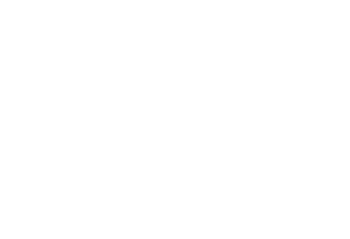 Donnie Brasco