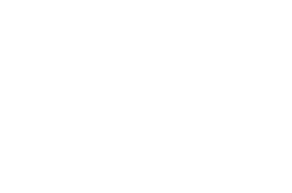 White Riot