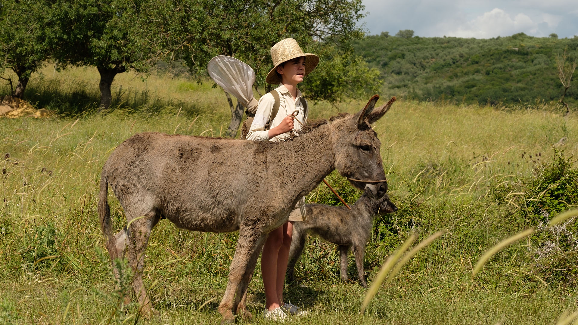 Watch The Durrells Season 3 Online | Stream TV Shows | Stan