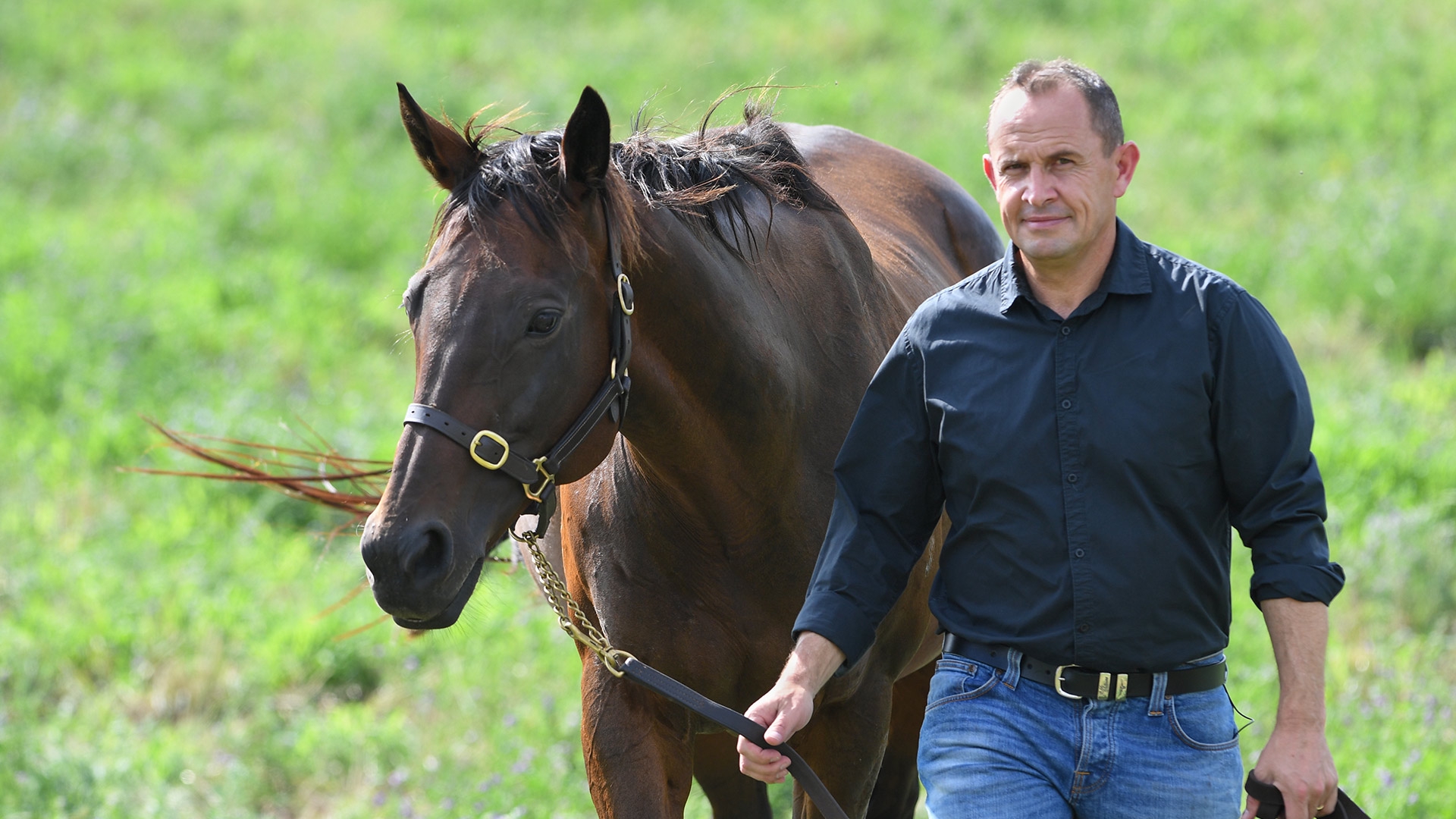 Stream A Horse Named Winx Online Download and Watch HD Movies Stan