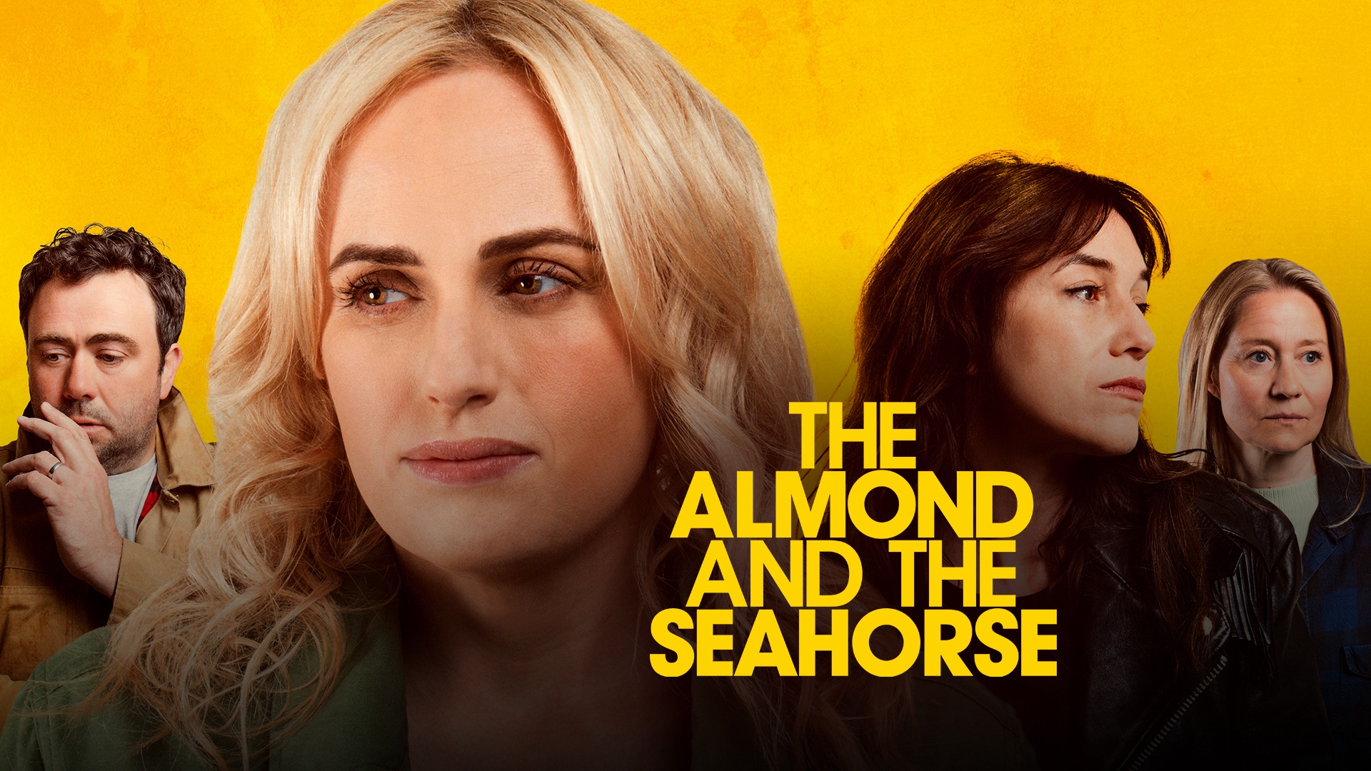 Stream The Almond and the Seahorse Online | Download and Watch HD ...