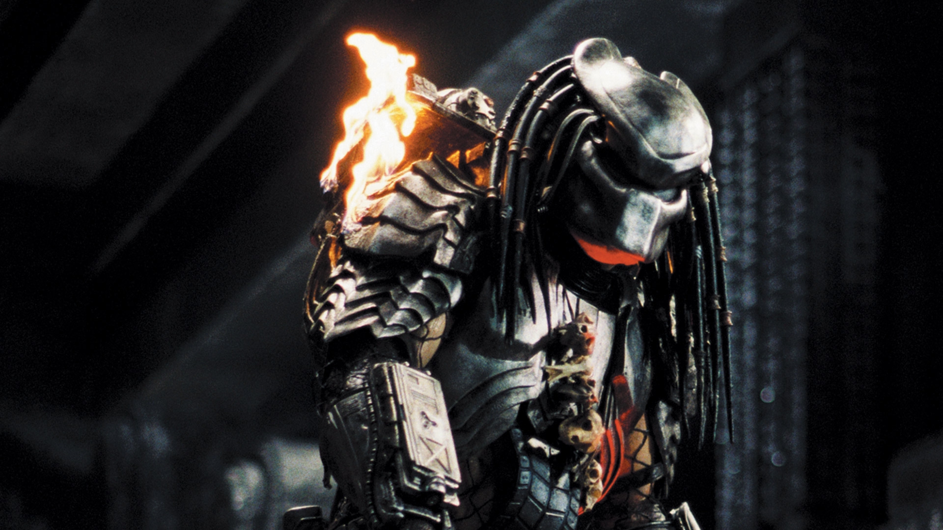 Stream Alien Vs. Predator Online | Download and Watch HD Movies | Stan
