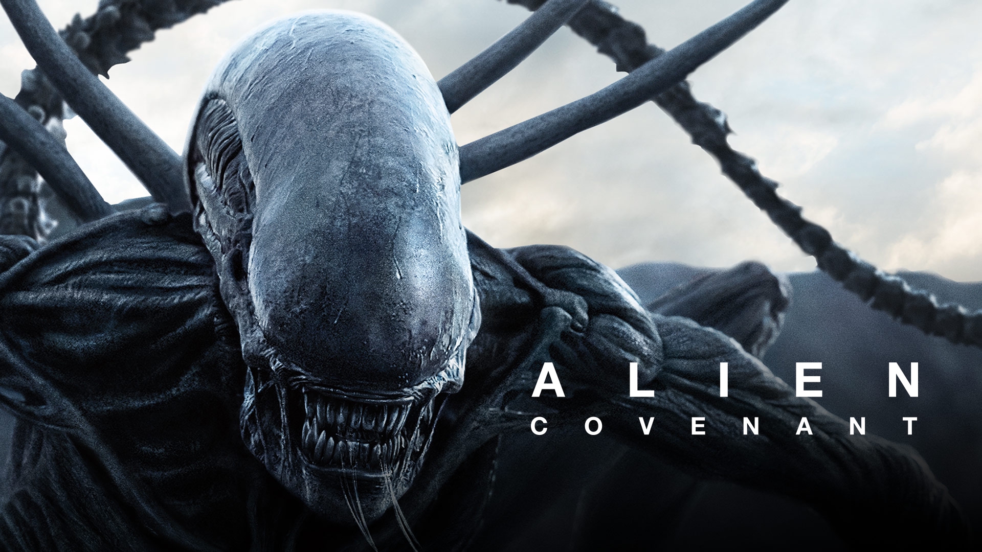 Stream Alien: Covenant Online | Download and Watch HD Movies | Stan